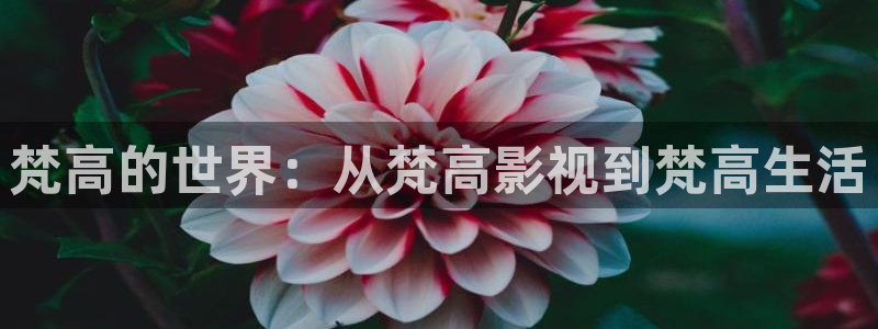 六安红叶影城今日电影：梵高的世界：从梵高影视到梵高生活