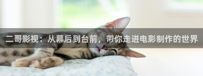 红叶影视app官方下载：二哥影视：从幕后到台前，带你走进电影制作的世界