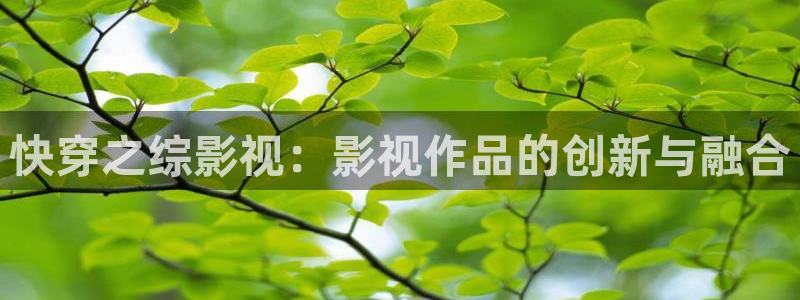 红叶影视