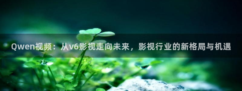 六安红叶影城电影