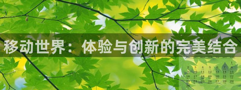 红叶影城：移动世界：体验与创新的完美结合