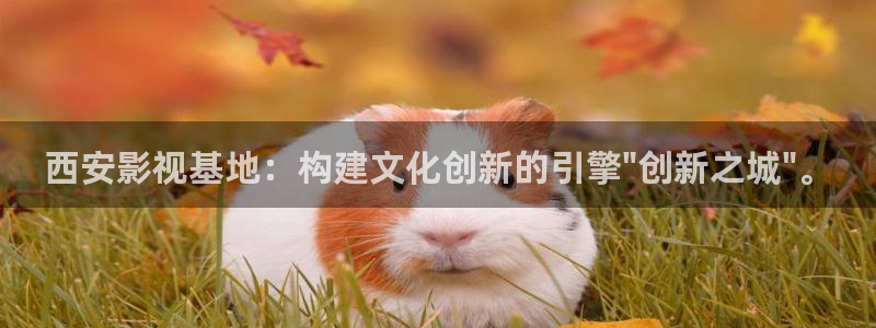 红叶影视