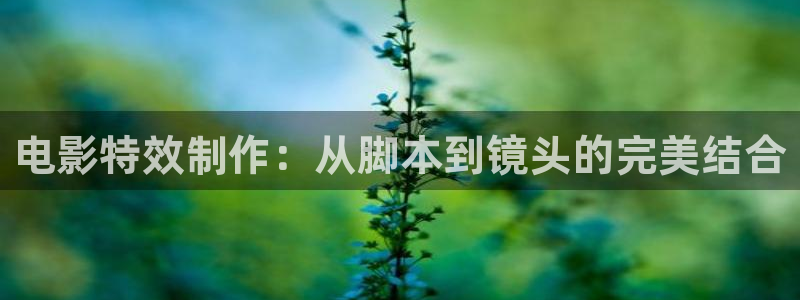 红叶影院免费观看电视剧：电影特效制作：从脚本到镜头的完美结合